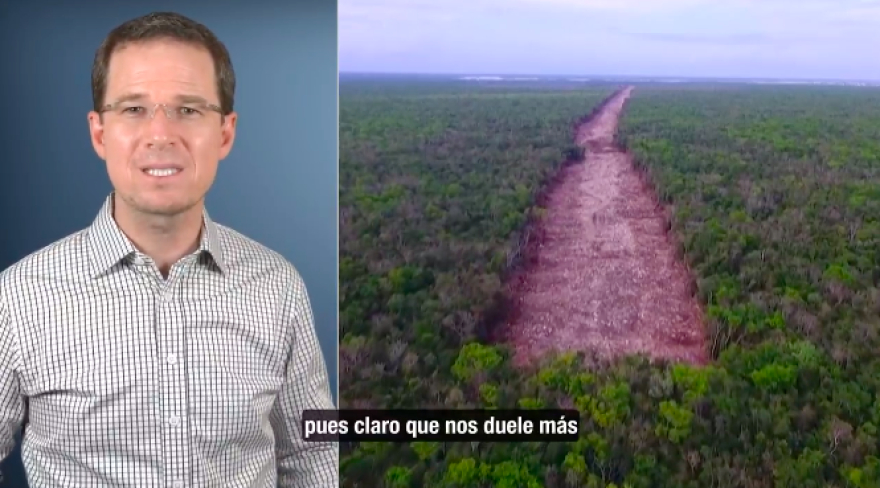 AMLO prometió que con el Tren Maya no iba a tirar ni un árbol y lleva 485 mil hectáreas deforestadas: Anaya