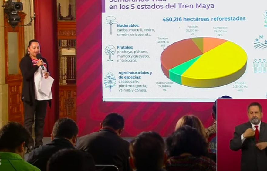 Admite la 4T que no cuentan con estudios de impacto ambiental para las obras del Tren Maya