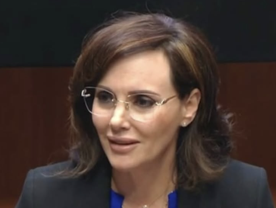 PAN respalda a Lilly Téllex: “Pretender acallar a quienes piensan distinto es una señal preocupante de intolerancia”