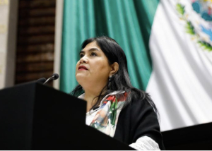 Senadora de morena admite deuda del estado mexicano por crisis de desapariciones en el país
