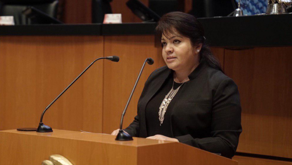Nestora Salgado, senadora por Morena