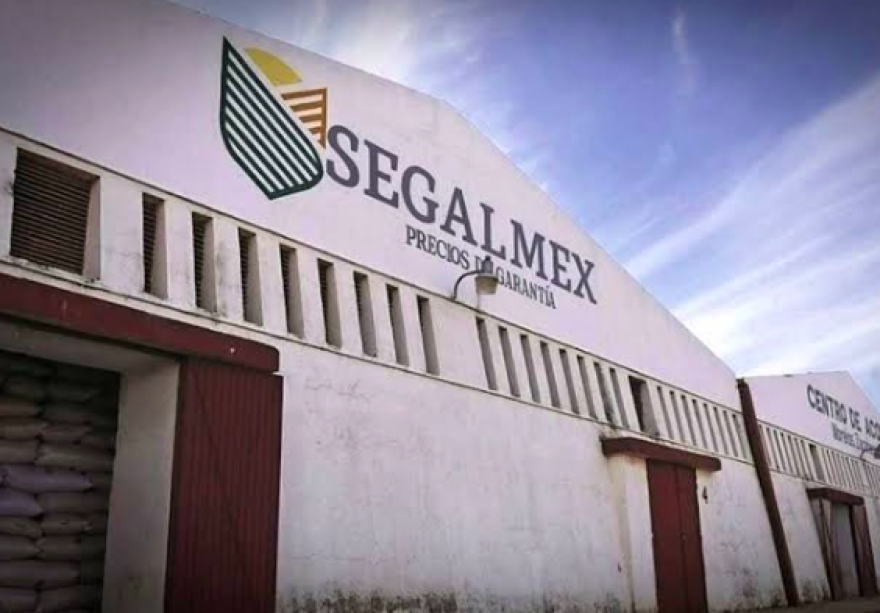 Ordena INAI a SEGALMEX informar sobre denuncias por falta de casi 900 mdp pagados a empresas que no prestaron servicios