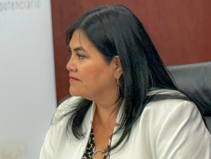 Una Senadora de Morena sí repudió la tragedia de las 3 menores en Hermosillo ultimadas
