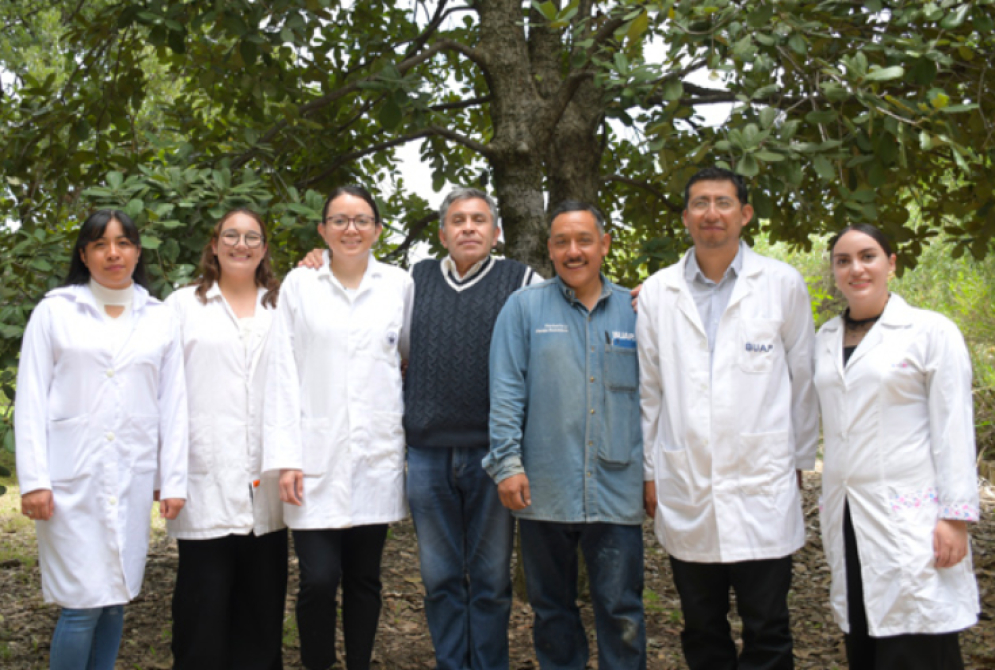 Crean nanomateriales en la BUAP para combatir plagas por gusano barrenador