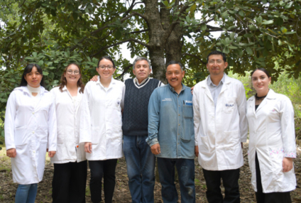 Crean nanomateriales en la BUAP para combatir plagas por gusano barrenador