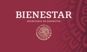 Secretaría de Bienestar no sabe dónde quedaron 2.7 billones de pesos; INAI los obliga a explicar y a transparentar esos recursos