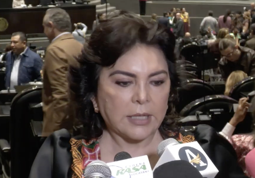 Movimiento Ciudadano pide incluir en la reforma electoral obligatoriedad del voto y reducir a 16 años la edad mínima para votar