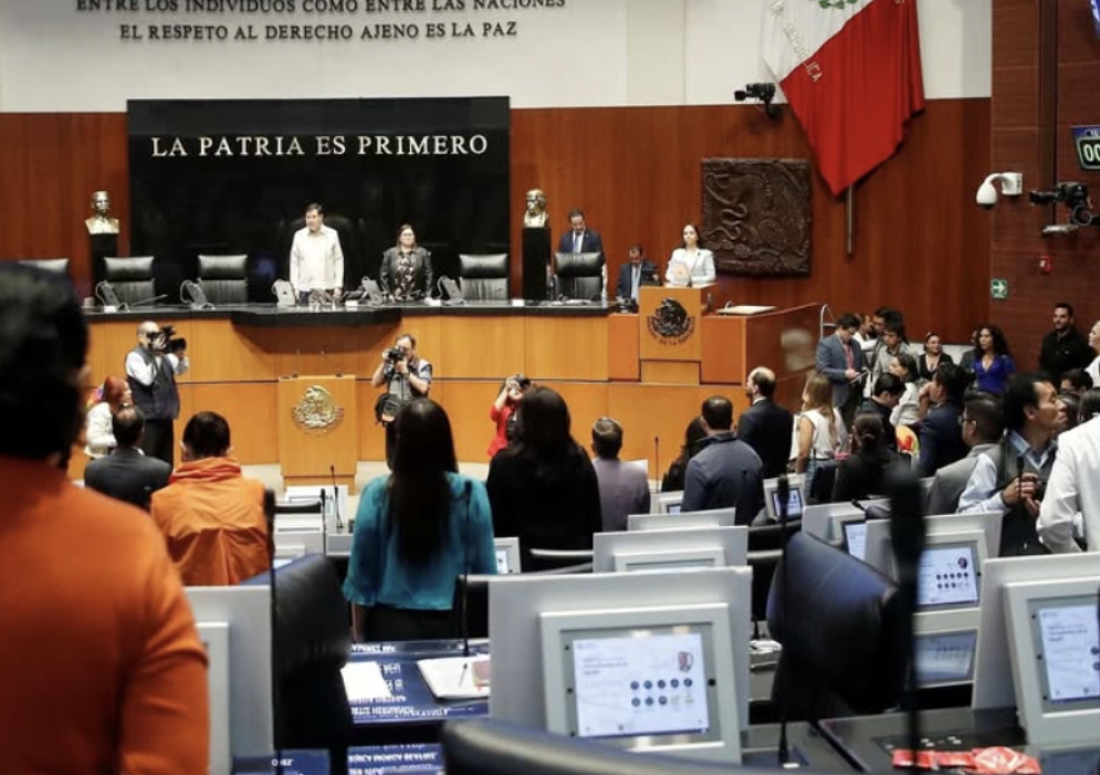 Morena asegura que propósito de nueva ley de seguridad no busca “perseguir a los de abajo”: “es para investigar a quienes lucran con la violencia”, dicen