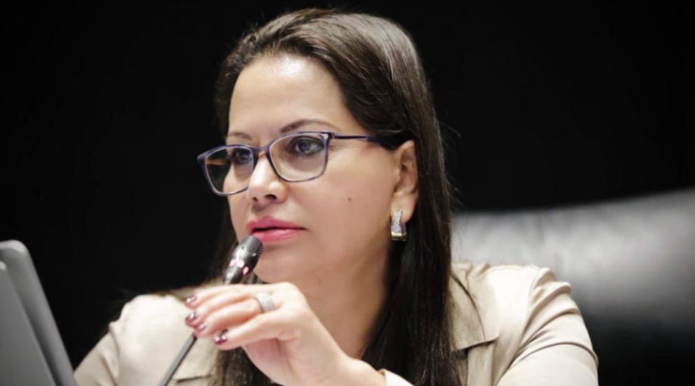 Por “descuido”, senadora revela estados que le interesan a AMLO y a Morena en las elecciones