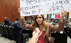 Diputadas priistas exhiben a Morenistas por quitar el presupuesto para los Centros de Justicia para mujeres