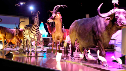 Estás vacaciones disfruta de los Museos de Puebla