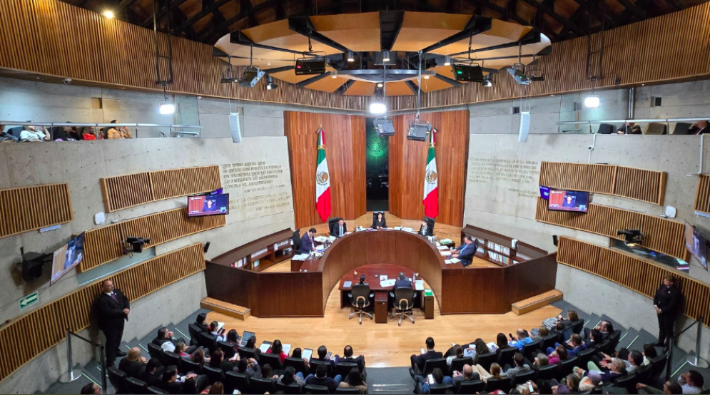 TEPJF avala mayoría calificada de Morena en la Cámara de Diputados