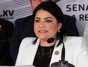 Fiscalía en Tamaulipas pide desafuero de sobrina de AMLO para investigarla por actos de corrupción