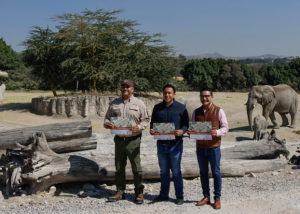 Ayuntamiento de Puebla se suma a la Campaña Verde Navidad 2024 para reciclar árboles naturales de temporada