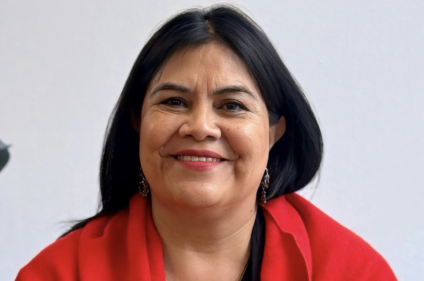 Senadora de morena presume que ya hay resultados de seguridad con el operativo “libertad”: “sin balazos y con el uso de la inteligencia”, dice