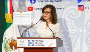 María Elena Pérez-Jaén exhibe doble discurso de David Colmenares: “No asiste a reuniones de la comisión de vigilancia pero sí acude a comidas con Mier”