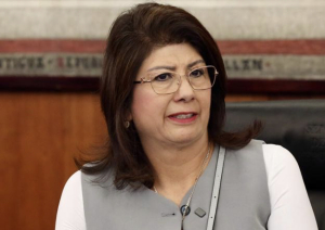 Ex alcaldesa de Morena en Tecámac justifica haber matado a 10 mil lomitos durante su administración: “se les ayudó a bien morir y fue conforme a la norma”, dice