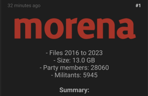 Hackers ofrecen 13 GB de información de campañas y financiamientos de Morena