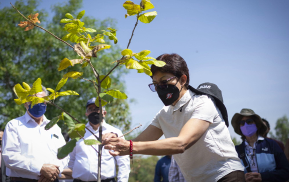 Celebra BUAP 35 años del Jardín Botánico Universitario