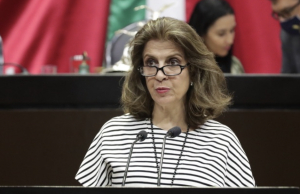María Elena Pérez-Jaén presenta 12 demandas de amparo para que el PJF ordene al pleno del Inai sesionar con cuatro comisionados