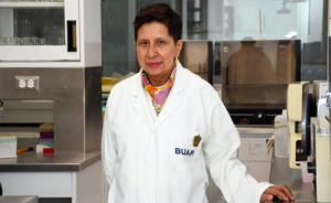 Esteroides anabólicos para tratar patologías con pérdida muscular