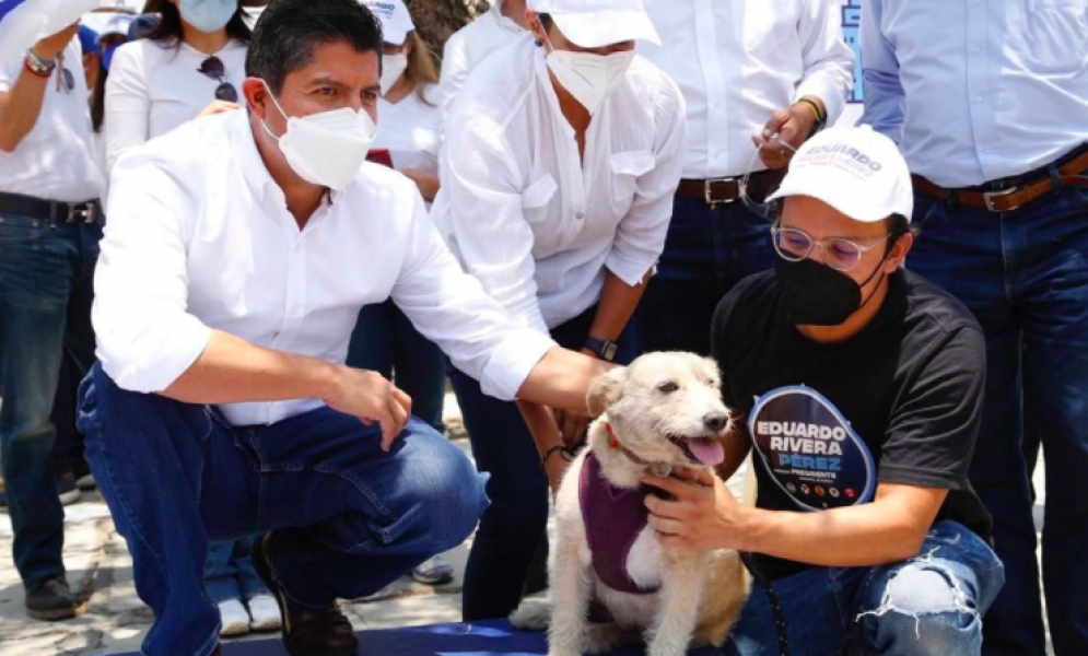 Lalo Rivera se compromete con el bienestar animal, realizará campañas de esterilización y establecerá zonas amigables