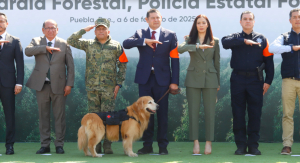 Puebla ya cuenta con policía forestal: Armenta