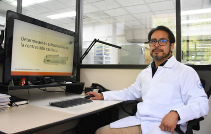 En el Instituto de Fisiología reside uno de los pocos grupos del país que estudia la relación estructura-función en las células cardiacas