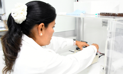 BUAP busca soluciones de fondo para la contaminación por plásticos