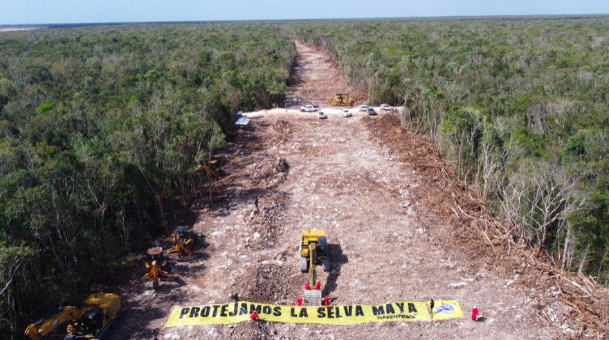 Destrucción provocada por el Tren Maya escala a nivel internacional; se suma la fundación Cousteau a críticas