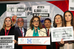 María Elena Pérez-Jaén tunde a funcionarios del INSABI por no transparentar 6 mil mdd en compra de medicinas