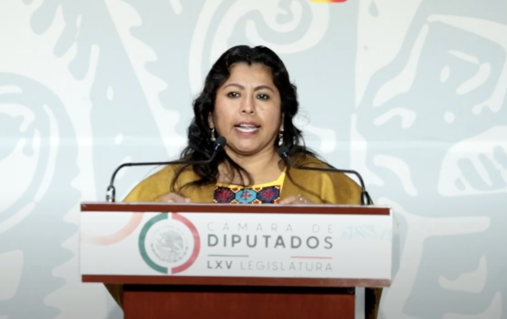 Diputada de Morena revela que el régimen censuró a legisladores críticos del titular de la ANUIES