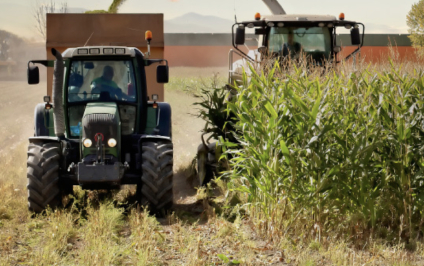 COPARMEX alerta afectaciones a negocios por paros de productores de maíz: “que gobierno atienda demandas de agricultores”
