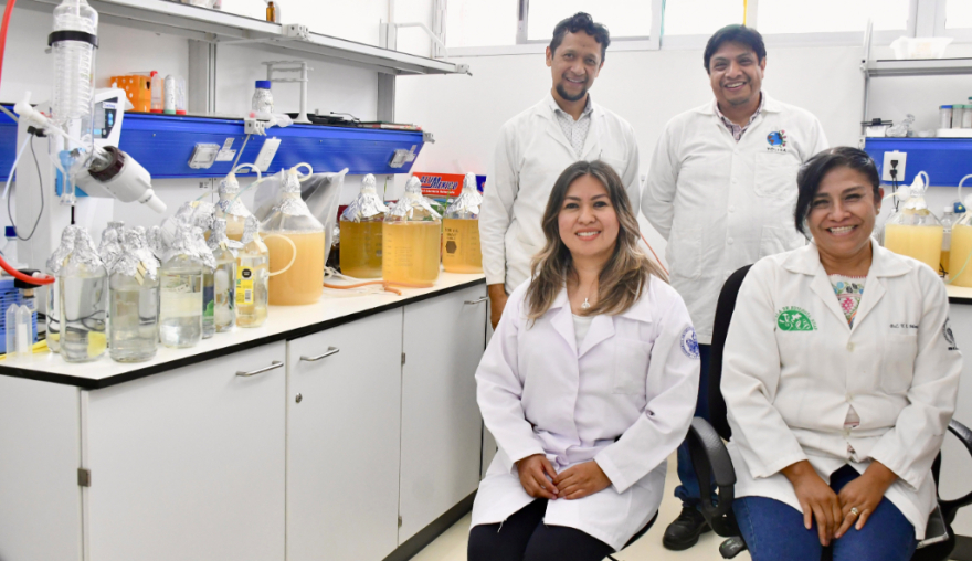 Inocrep BUAP solución biotecnológica para una agricultura sustentable