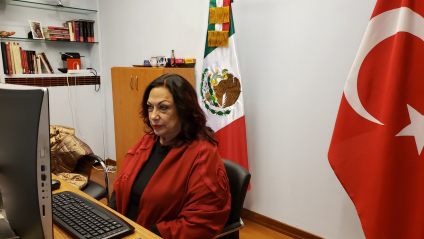 Embajada de México en Turquía no organiza la ayuda: dice Isabel Arvide