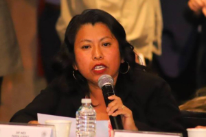 Red de morenistas acusan a diputada federal de su partido Inés Parra por nexos con delincuentes