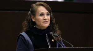 Dolores Padierna en la Cámara de Diputados