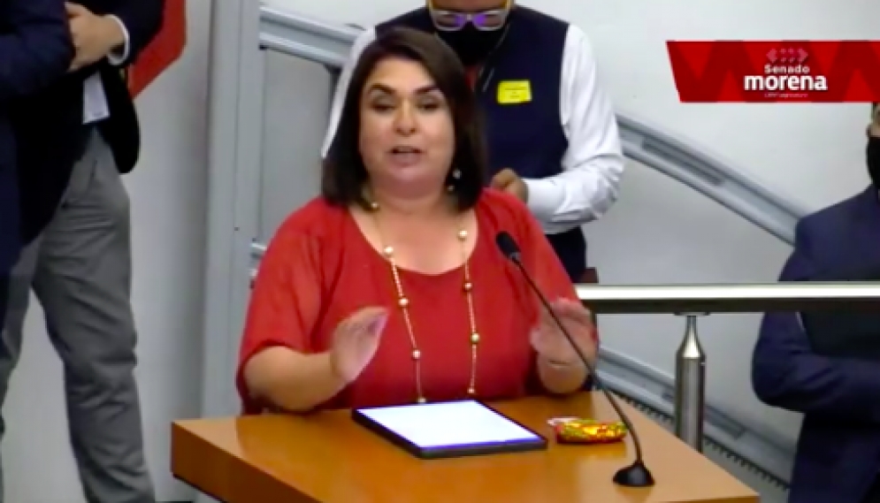Senadora de Morena llama médicos de ocasión a quienes cuestionan estrategia de salud