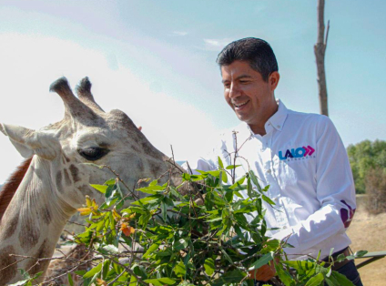 Seré un gobernador que priorice el bienestar animal: Eduardo Rivera