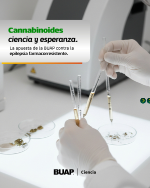BUAP apuesta a cannabinoides para tratamiento de epilepsia