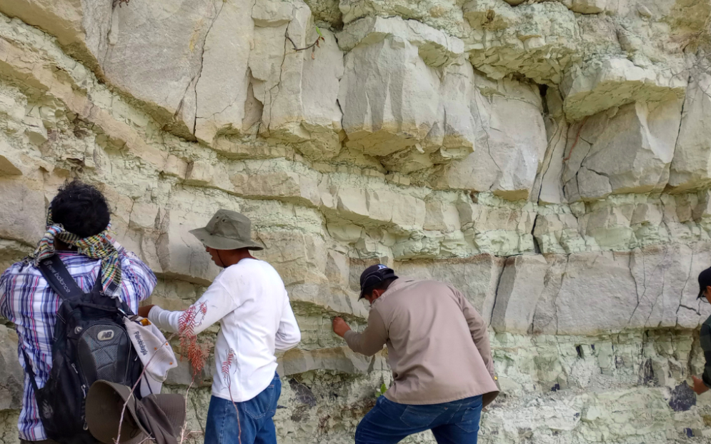 Laboratorio de Paleobiología de la BUAP: estudia el origen, la evolución y extinción de la flora y fauna de México