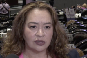 “Rechazo a la #LeyMaduro mostró descontendo hasta de aliados a Morena”: PRI