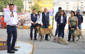 Rescatan y rehabilitaron a 11 perritos, 3 de ellos serán guardianes del Parque Cerro de Amalucan