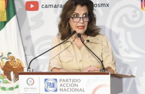 ASF se ha dedicado a solapar actos de corrupción de la 4T, acusa María Elena Pérez Jaén
