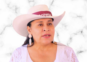 Senadora de Morena reconoce falta de democracia en el partido: “es una oportunidad histórica para democratizarlo desde abajo”, dice