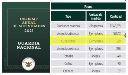 Guardia Nacional presume decomiso de cucarachas y grillos