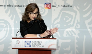 María Elena Pérez-Jaén tunde al titular de la Función Pública: “se convirtió en el defensor oficioso de la administración”