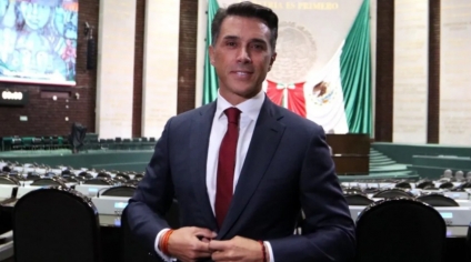 Sergio Mayer, diputado