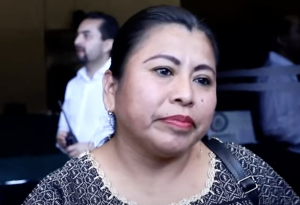 Diputada de Morena acusa que el titular de la ASF evade responsabilidad para que se investiguen responsabilidades