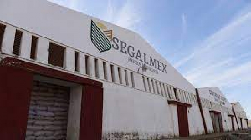 Segalmex, la Conasupo de la 4T, entregó contratos a empresa fantasma por más de 700 mdp